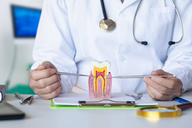 Best Holiday Emergency Dentist in Burgaw, NC